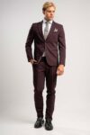 Κοστούμι Vittorio 100-2627-TRAMONTE BORDEAUX - Image 3